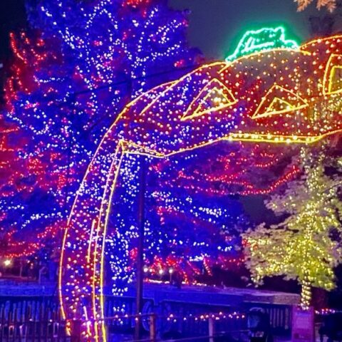 BooLights at Utah's Hogle Zoo