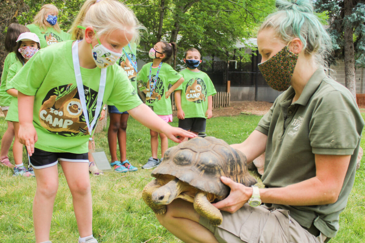Animal Superheroes at Hogle Zoo