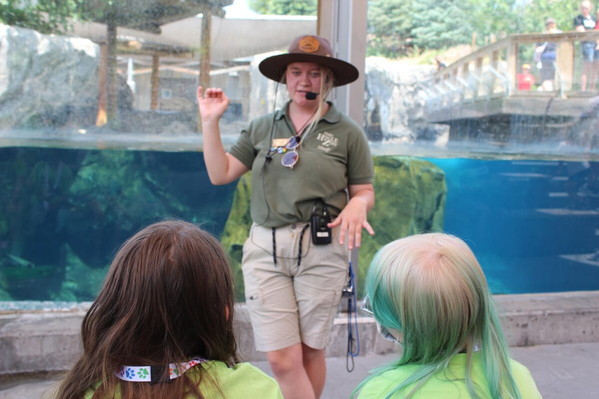Seal Demonstration