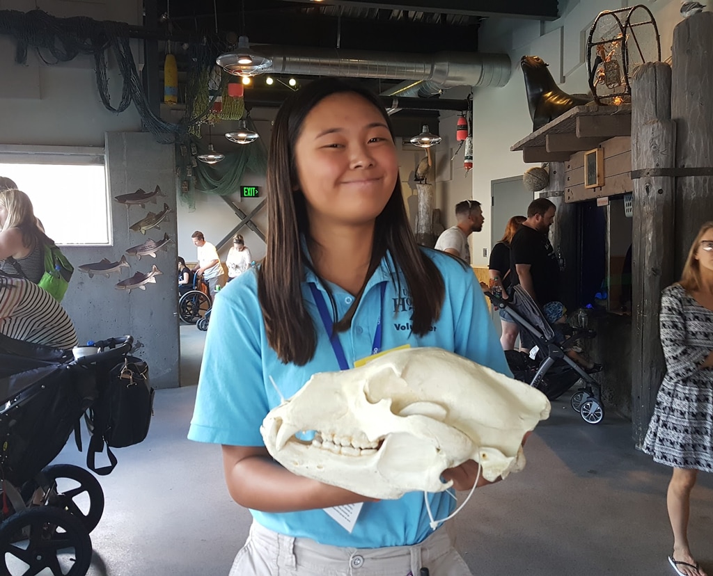 Volunteer with animal skull