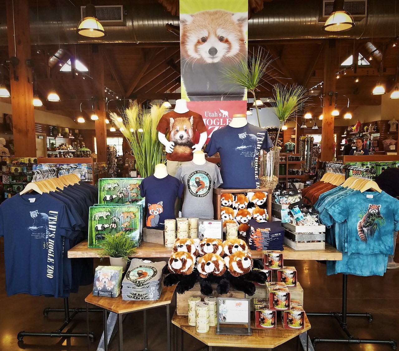 Gift Shop Red Panda Display