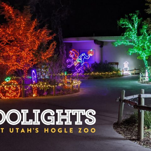 BooLights at Utah's Hogle Zoo
