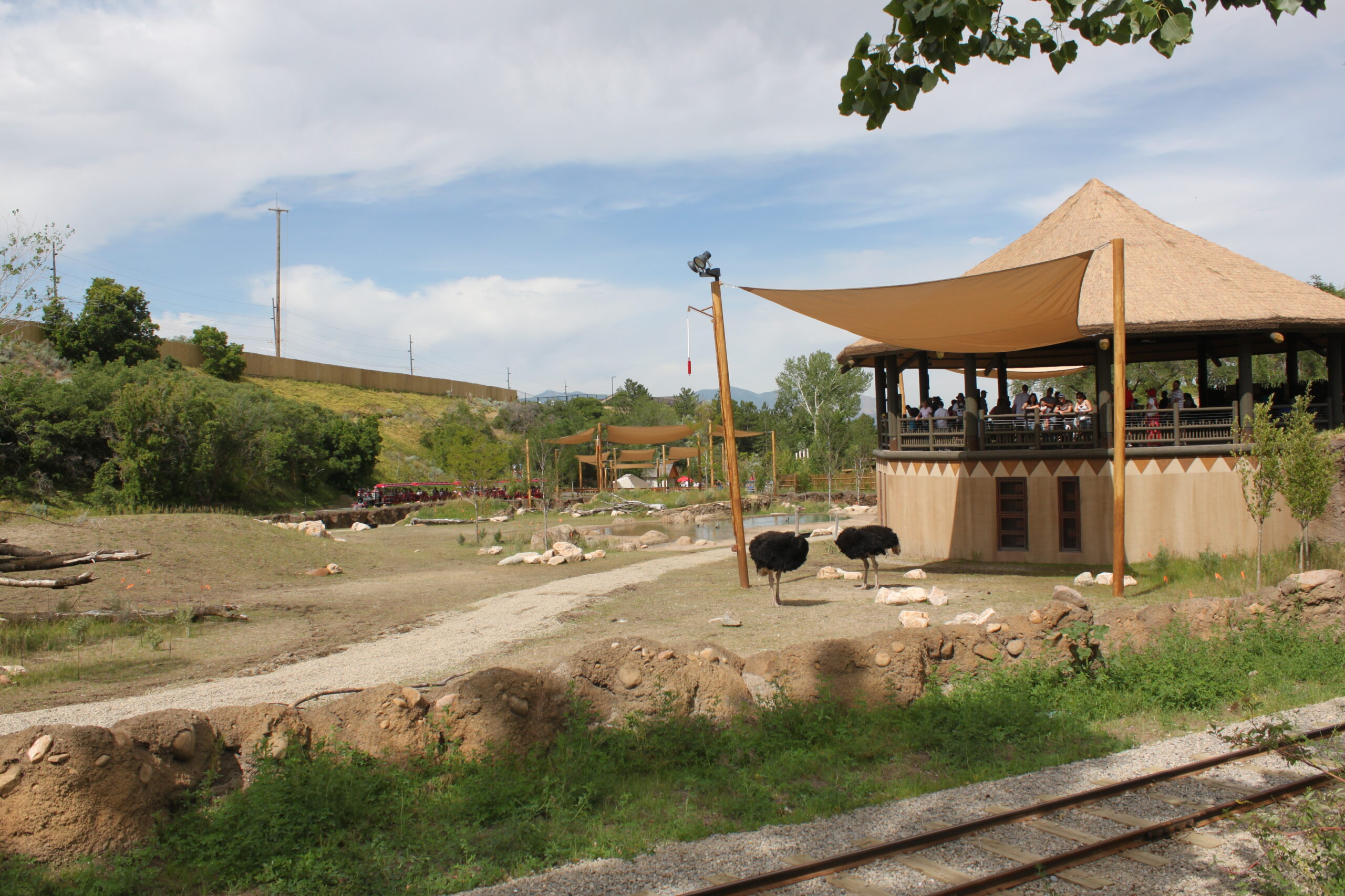 Exhibits - Utah's Hogle Zoo 