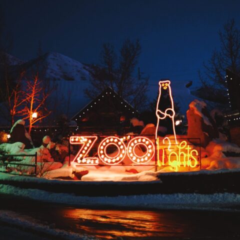 ZooLights Entry