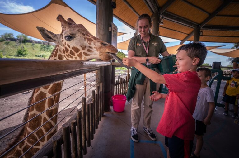 Utah's Hogle Zoo Reviews