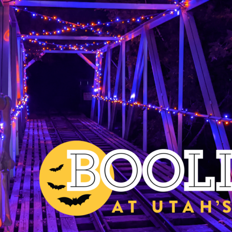 BooLights at Utah's Hogle Zoo