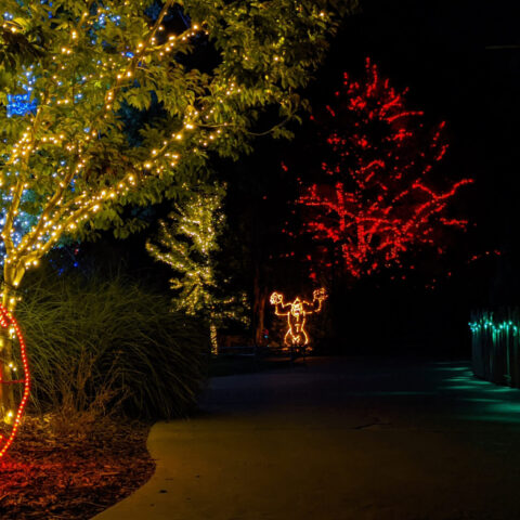 BooLights at Utah's Hogle Zoo