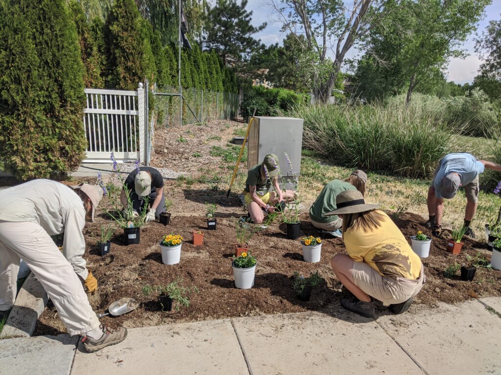 Local Conservation planting