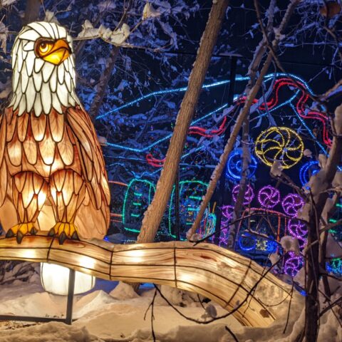 ZooLights