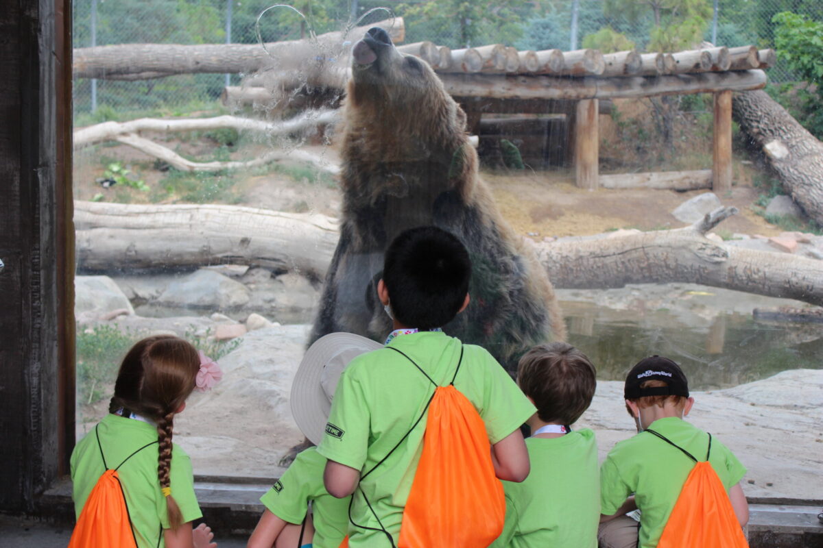 Summer Camp kids with grizzly bear