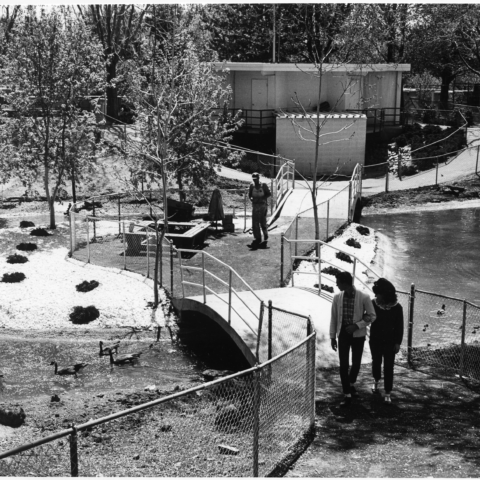 Discovery Land duck pond and bathrooms