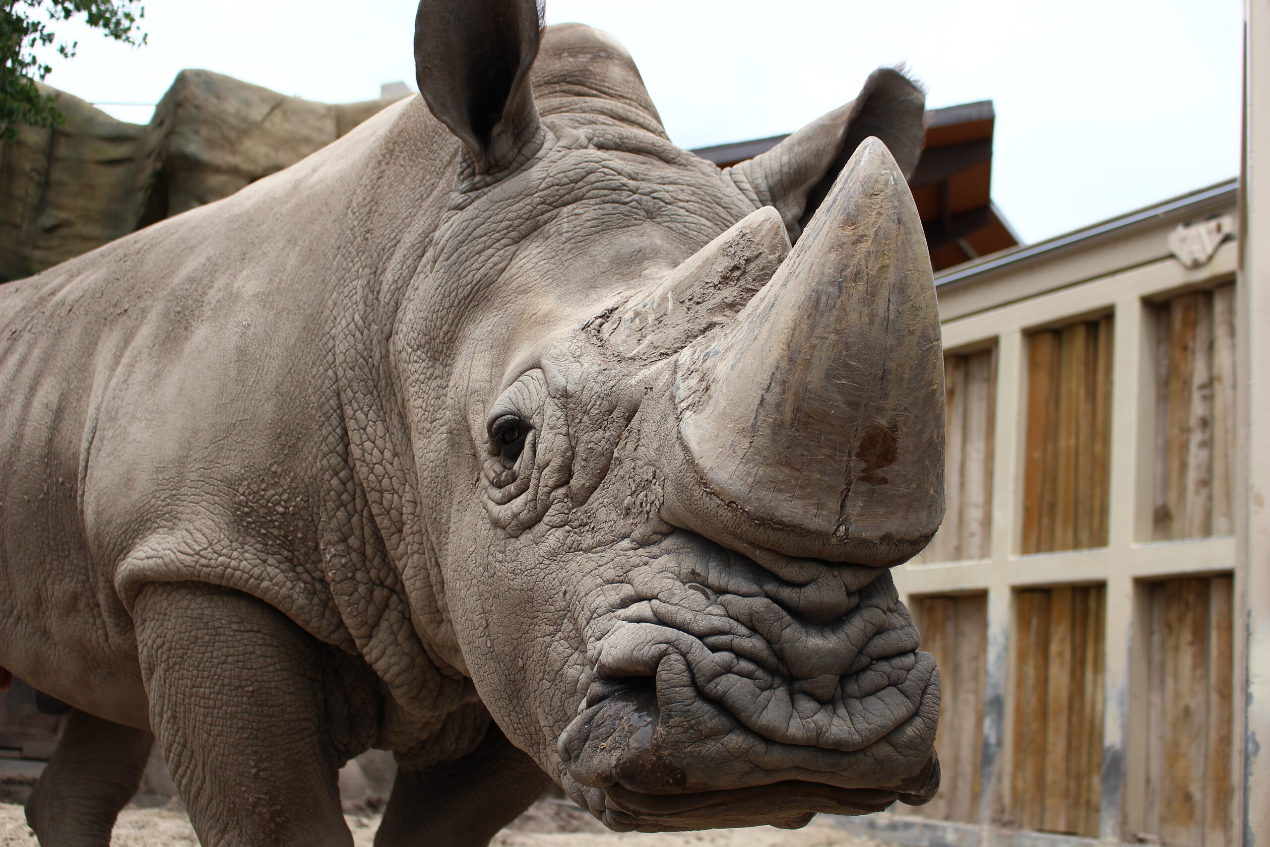 Hogle Zoo: Save On Animal Encounters With Exclusive Promo Code