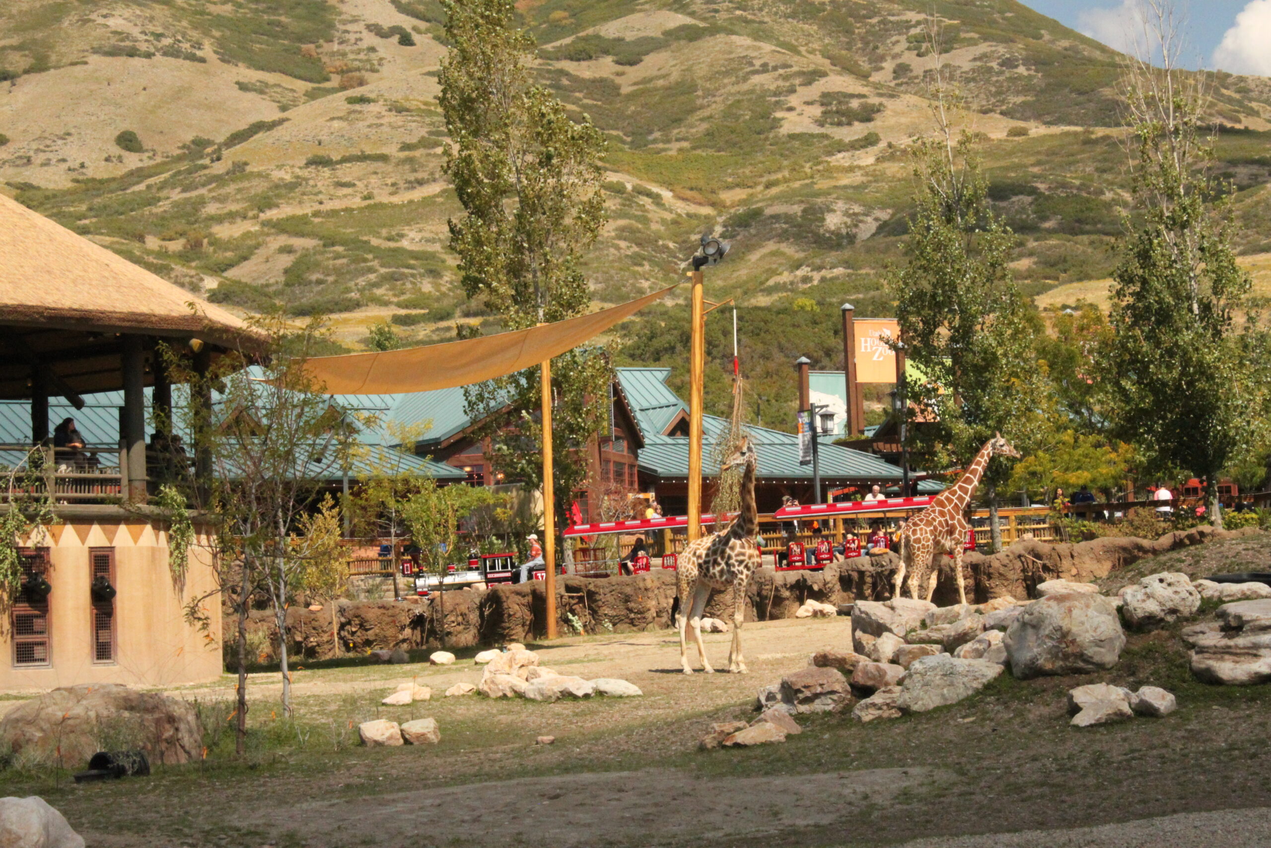 Utah Hogle Zoo Discount Tickets