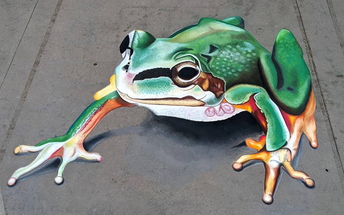 Chalk the Zoo frog