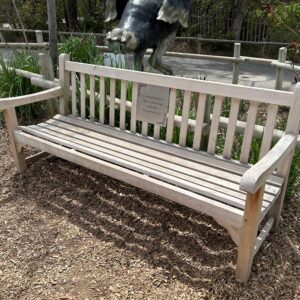Donor bench