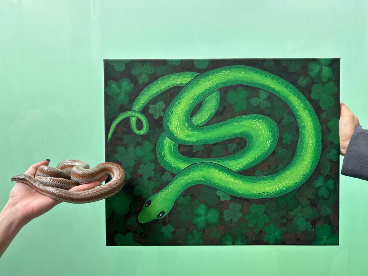 Paint night lucky serpents