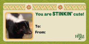 Skunk Valentine