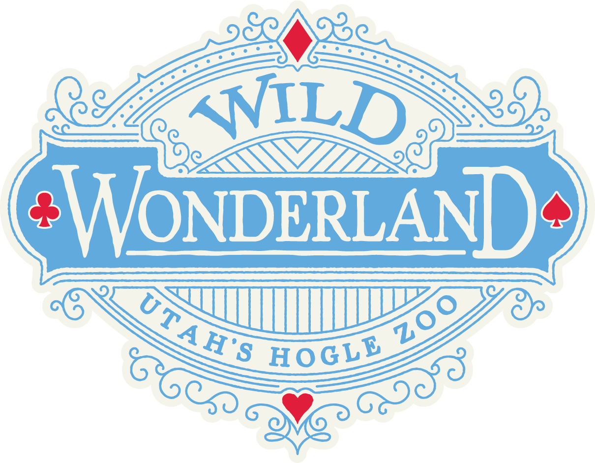 Wild Wonderland - Fundraiser at Utah's Hogle Zoo