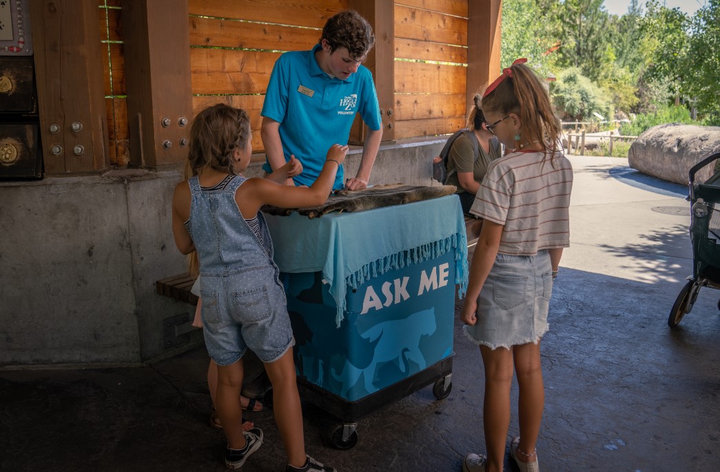 Zoo Openings and Careers - Utah's Hogle Zoo