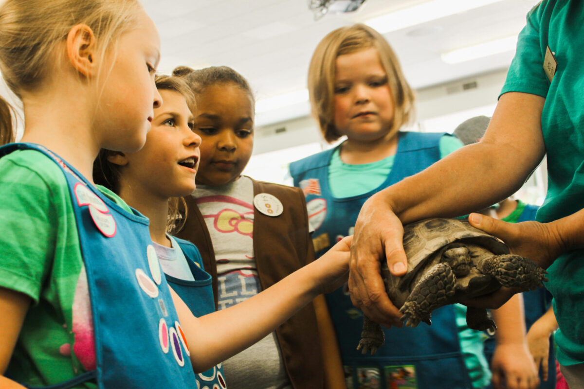 Girl Scouts Animal Observation