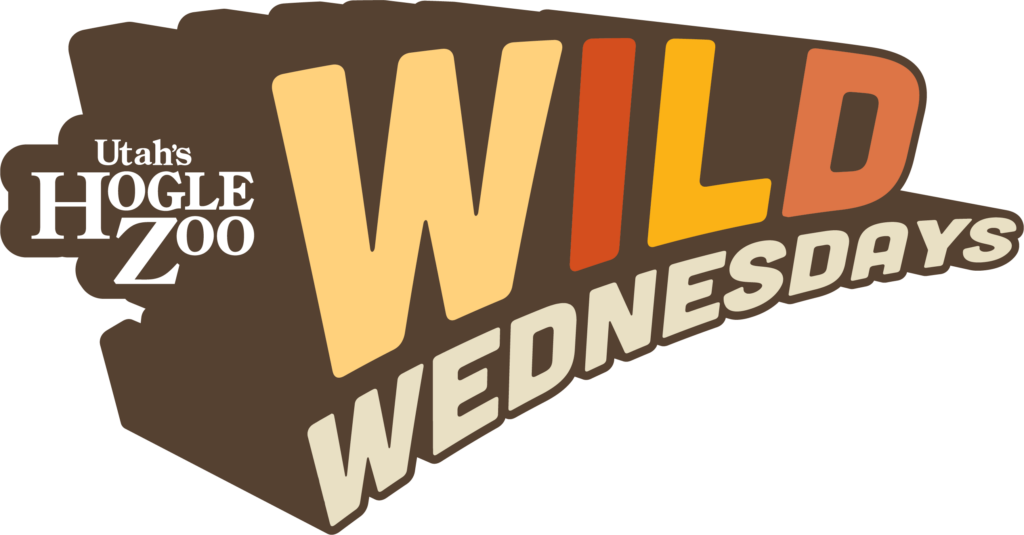 Wild Wednesdays at Hogle Zoo