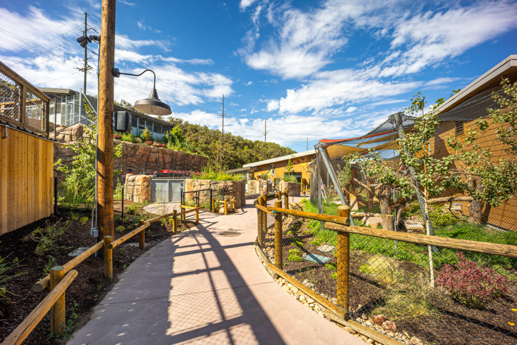 Wild Rocks Utah Wild Utah Turns One - Utah's Hogle Zoo | Stories & News