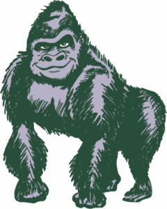 gorilla illustration