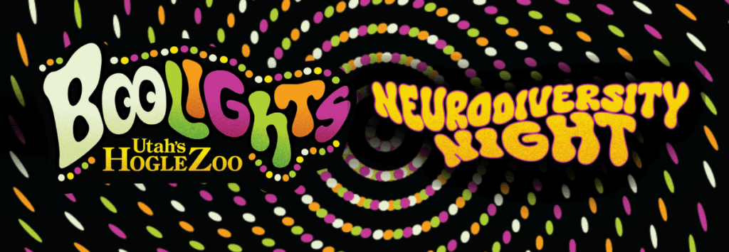 Neurodiversity Night at Utah's Hogle Zoo