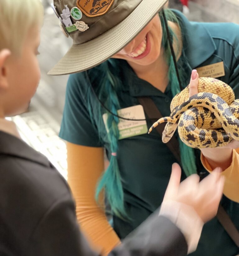 Animal ambassador at Utah's Hogle Zoo