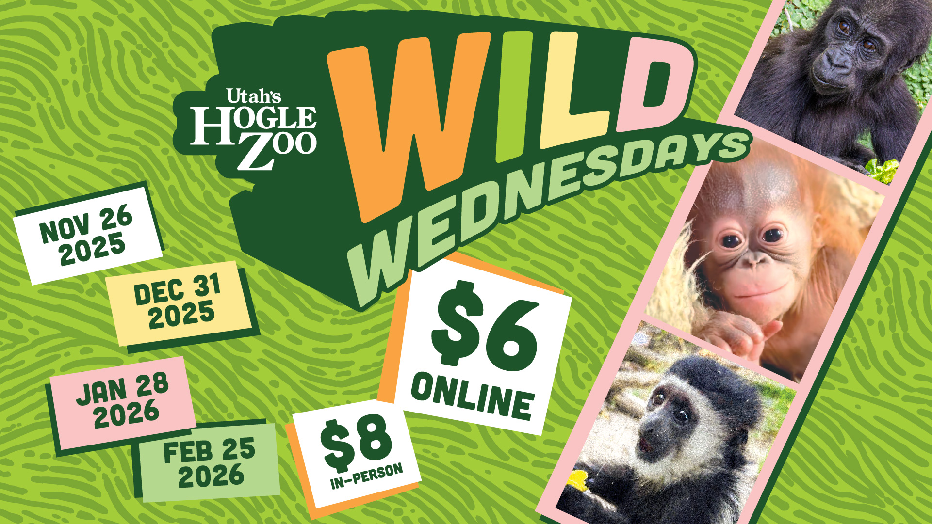 Wild Wednesdays - Utah's Hogle Zoo, image size:1921x1081