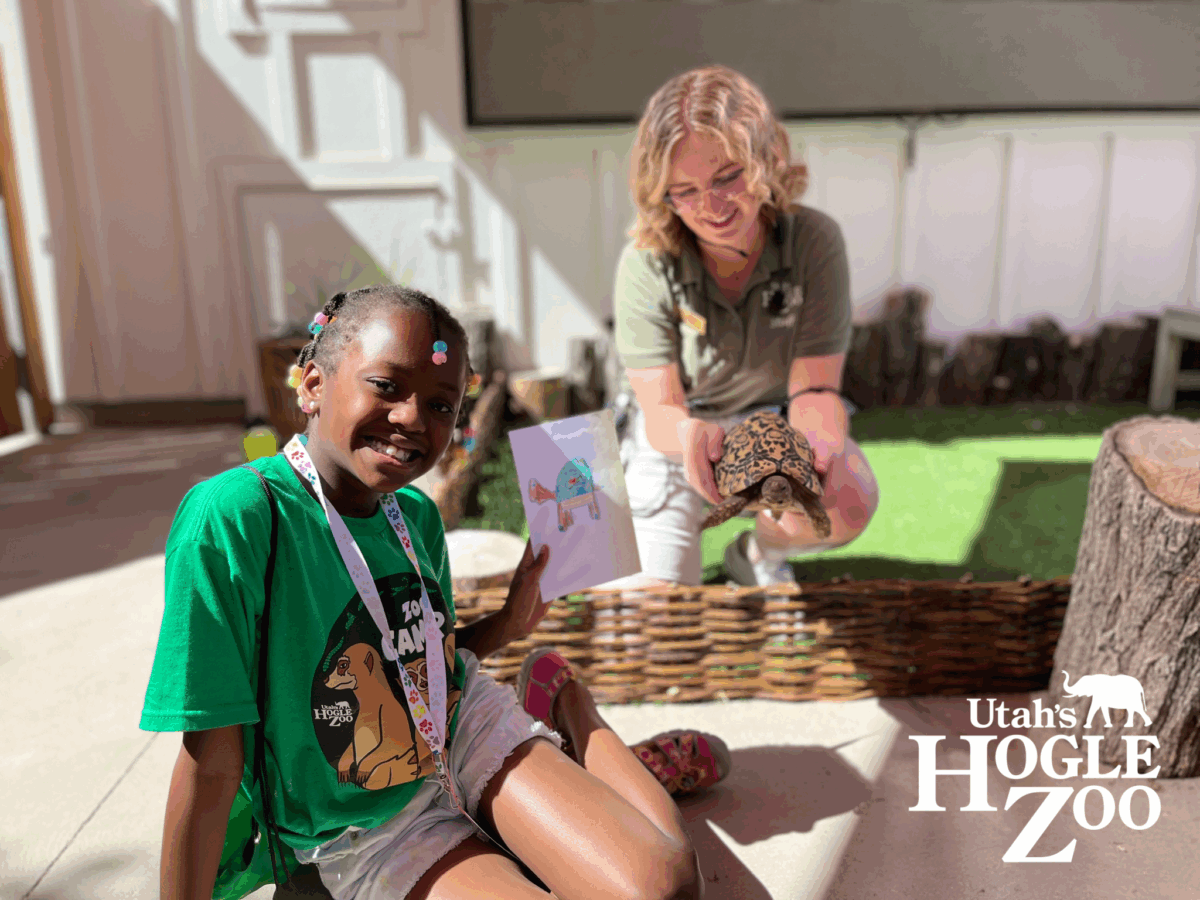 Animal Artist at Hogle Zoo