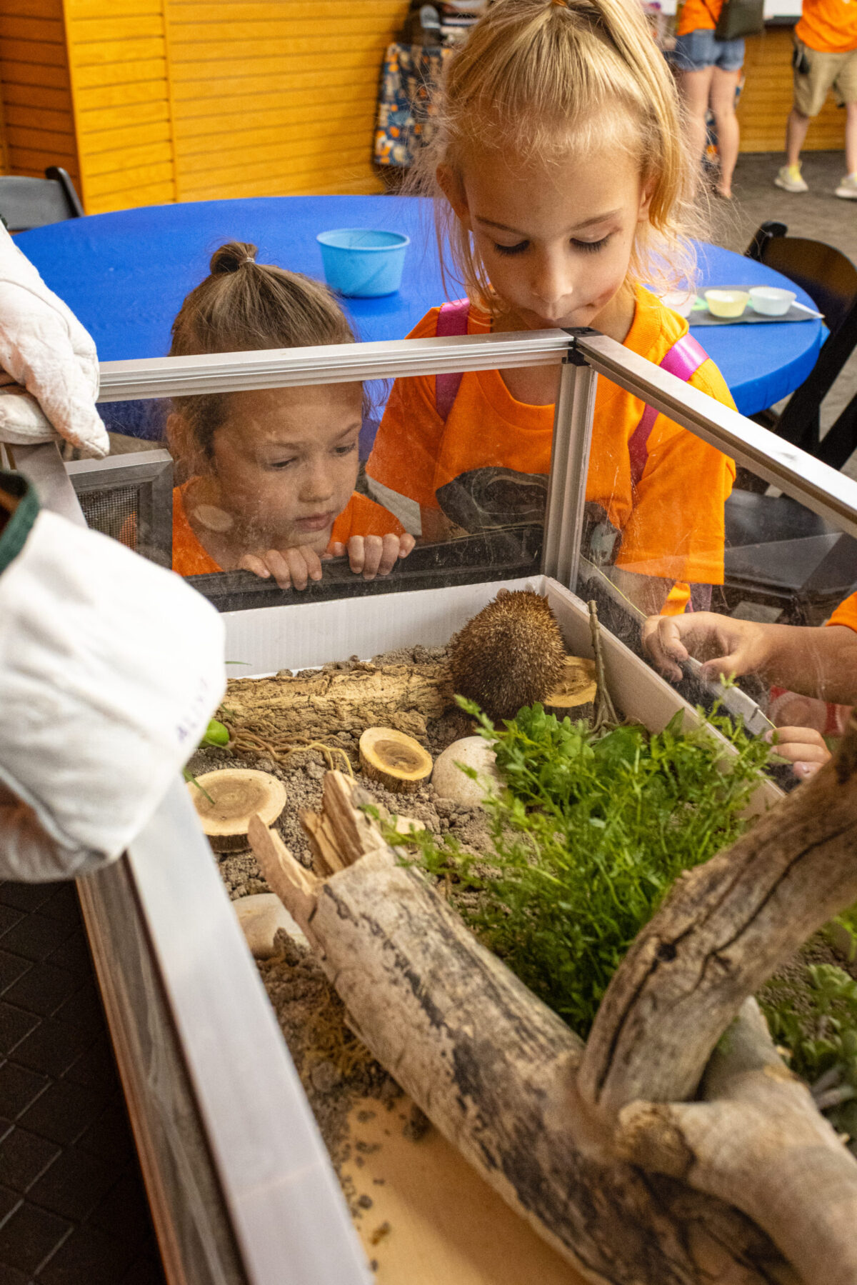 Up close learning at Hogle Zoo