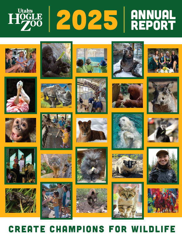 Utah's Hogle Zoo 2025 annual report cover
