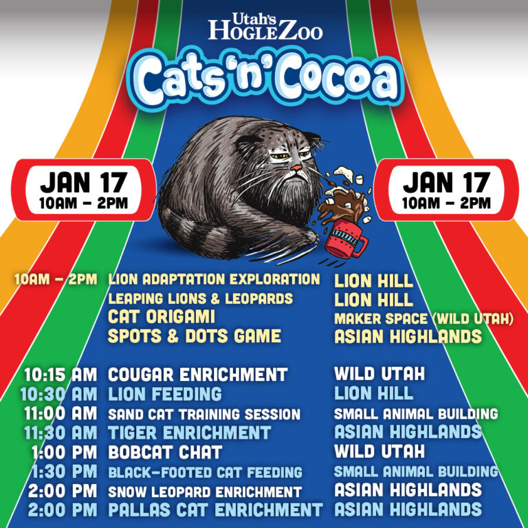 Cats n Cocoa event schedule