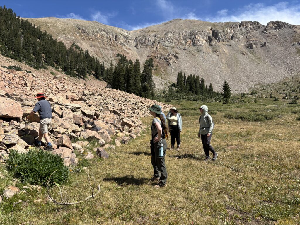 Pika Watch surveyors