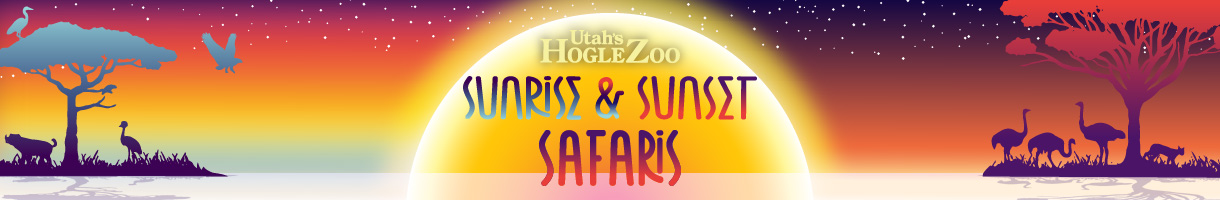 Members Sunrise and Sunset Safaris at Hogle Zoo