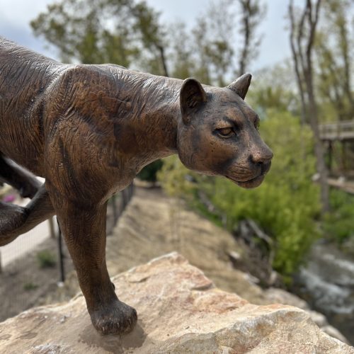 Cougar statue