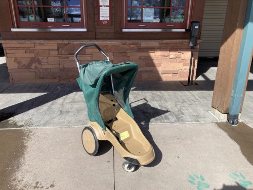 Single Stroller