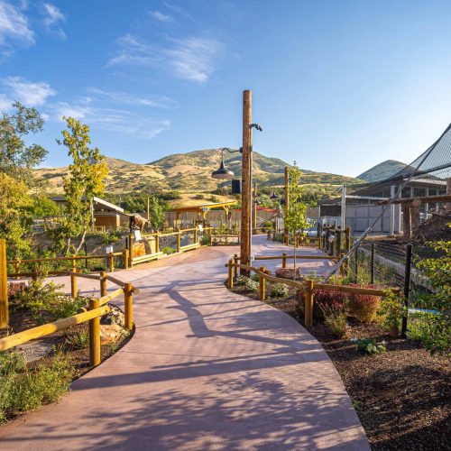 Wild Utah Cougar Habitat Path - Utah's Hogle Zoo