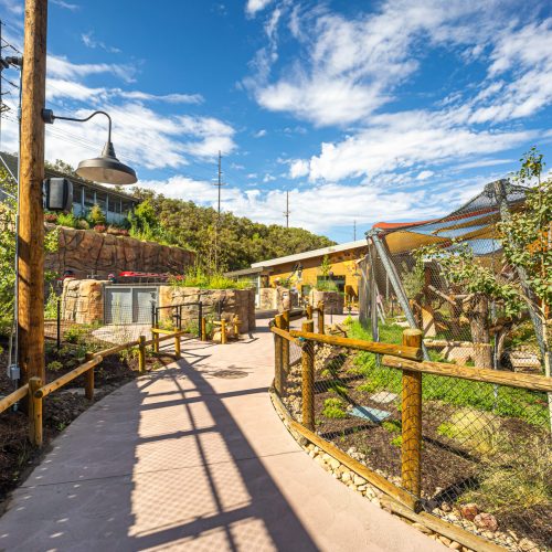 Aline W. Skaggs Wild Utah