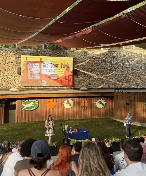 ZooBrew Trivia