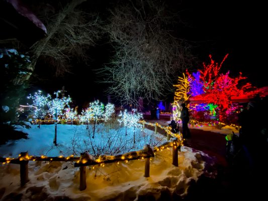 ZooLights 2022
