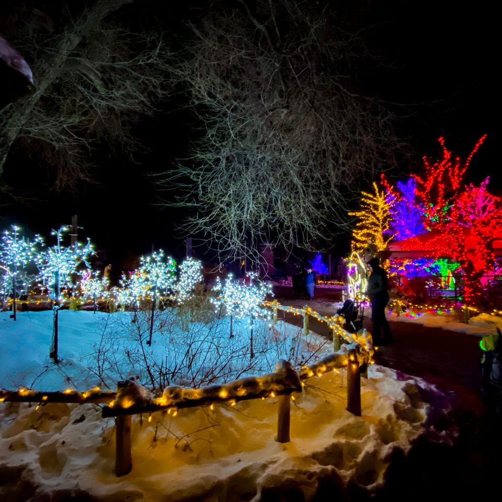 ZooLights 2022