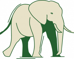 elephant-graphic