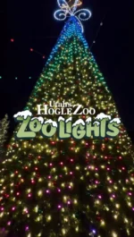 🎄✨ It’s tiiiiimeee! ✨🎄 ZooLights is back for its 18th year of holiday magic!

When the animals settle in for the night, the zoo comes alive with brilliant light displays 🌟🐾. Stroll through a wonderland of lights, sip on a cozy cup of cocoa, and make memories that’ll glow all season!

Details:

📅 11/29/2024–1/5/2025 (Closed 12/24–12/25 and 12/31–1/1)
⏰ 5:30 PM–9:00 PM

Bundle up in your coziest sweater, grab your loved ones, and experience the magic for yourself. Get your tickets now at the link in our bio!

See you there 🎅✨

#utahshoglezoo #hoglezoo #zoolights #holidays #holidayactivities #utah